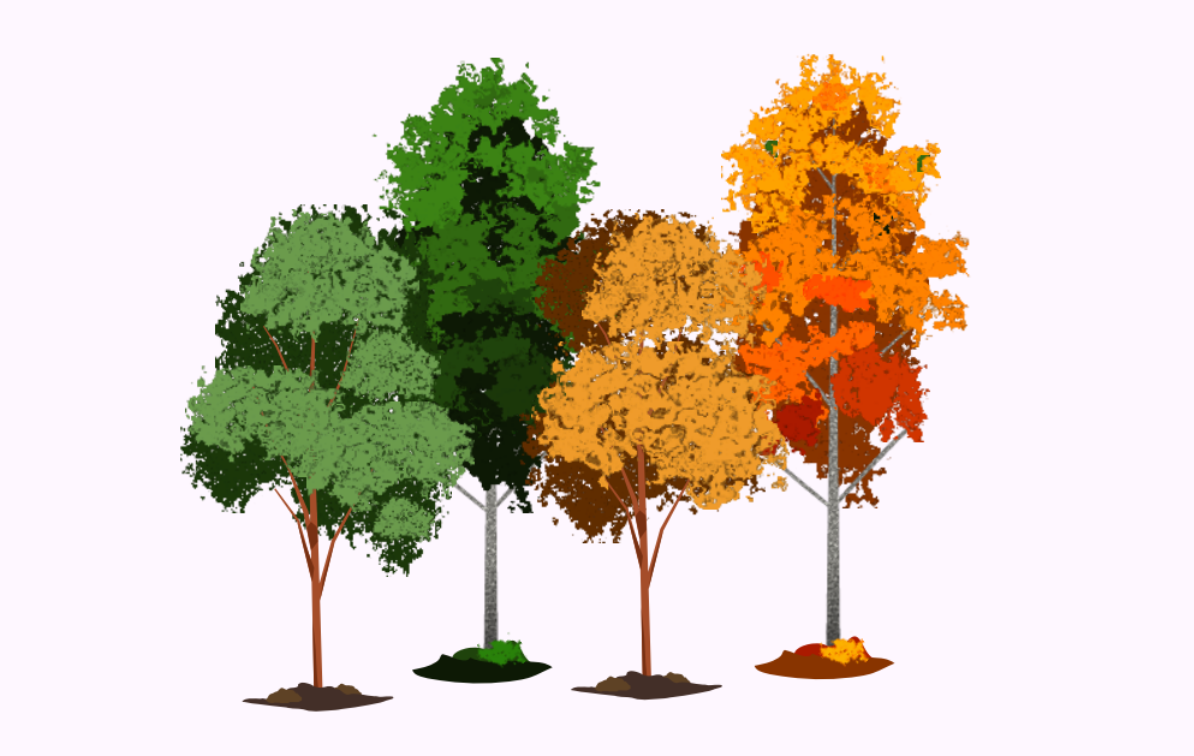Evangeline Weiss Consulting | Four trees with autumn leaves: green, dark green, yellow, and red, placed in a row with soil bases against a light background.