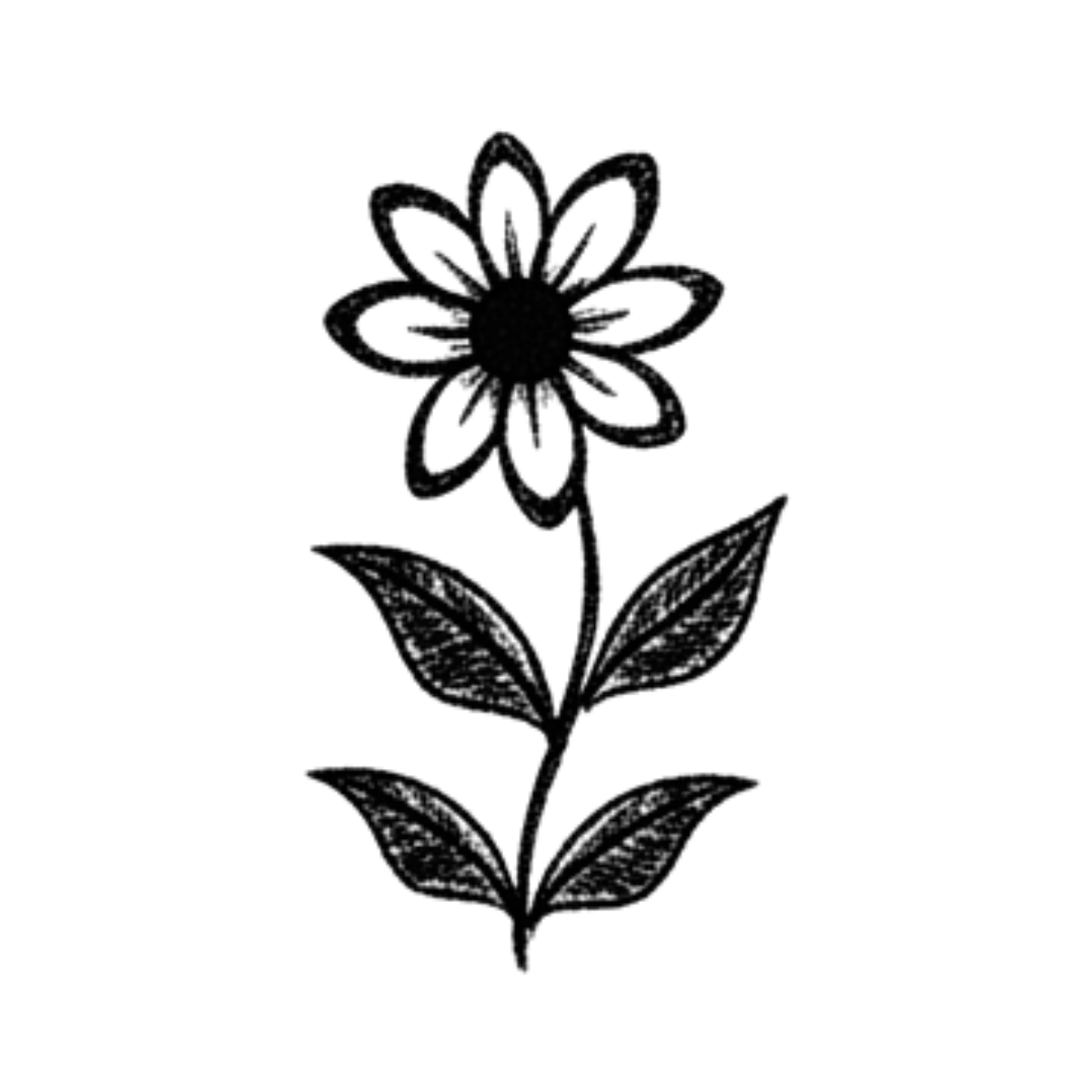 Evangeline Weiss Consulting | Growth Symbol