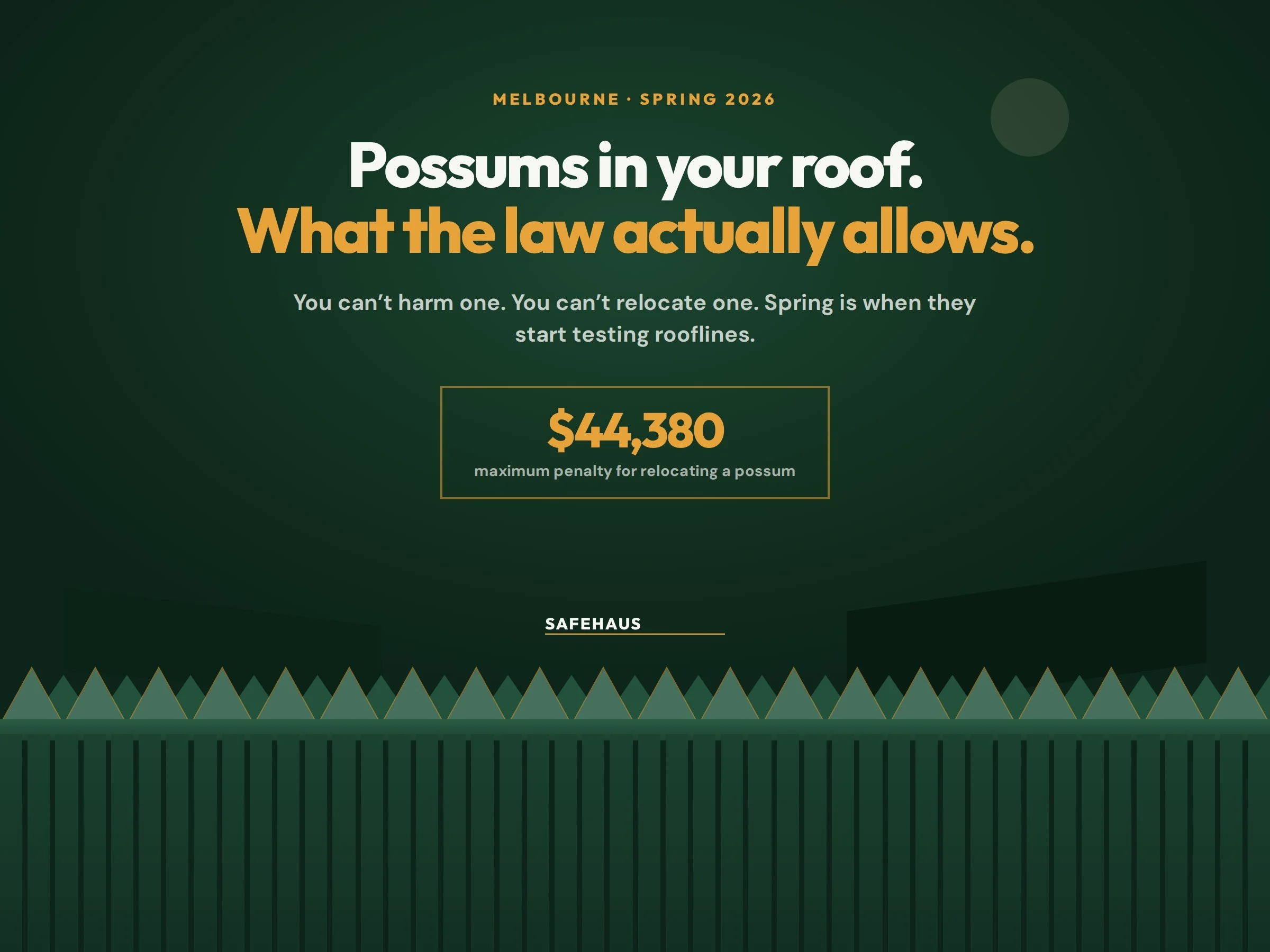 Possums in Your Roof This Spring: What Victorian Law Actually Allows