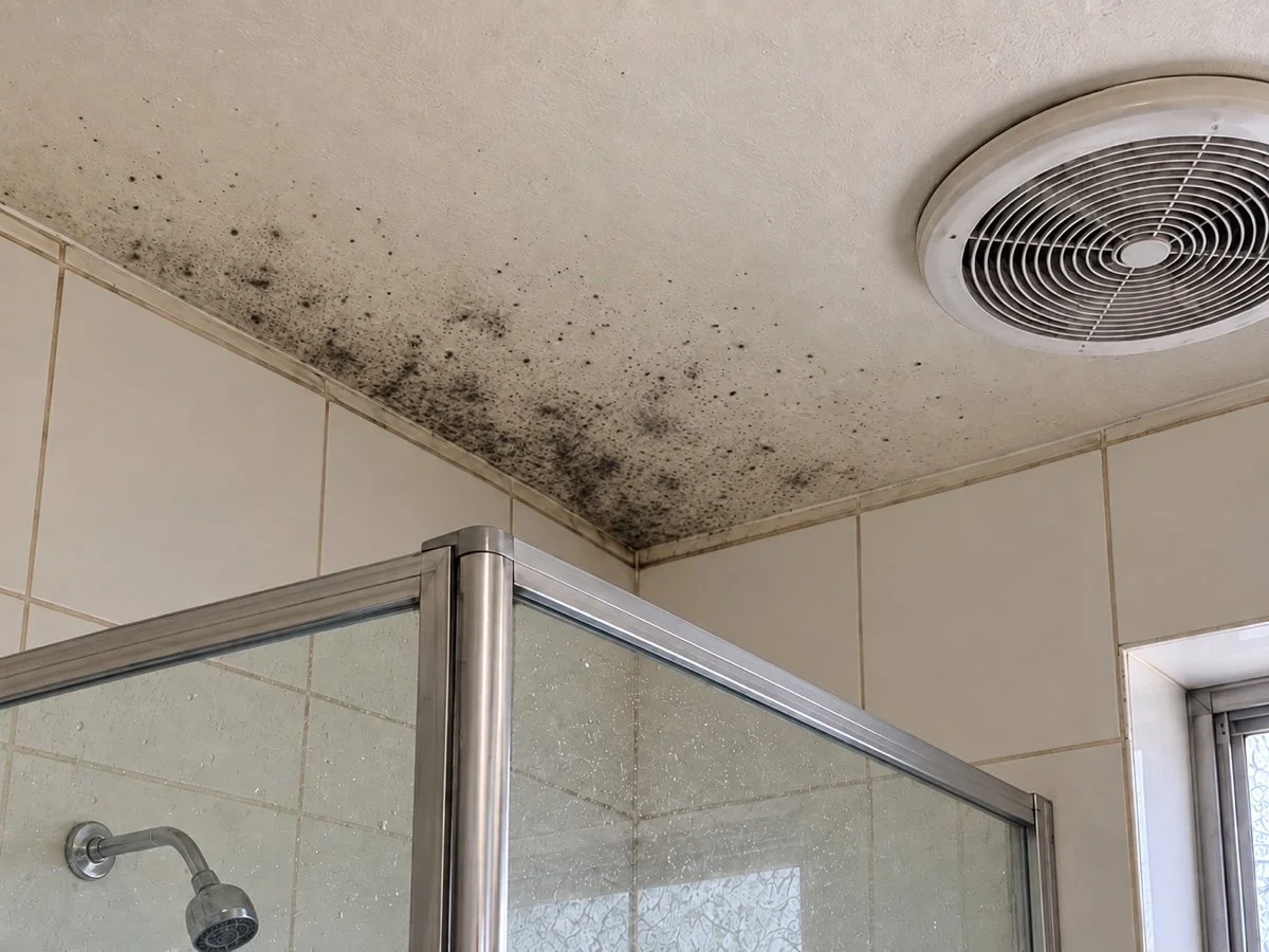 The mould argument has a one-sentence answer