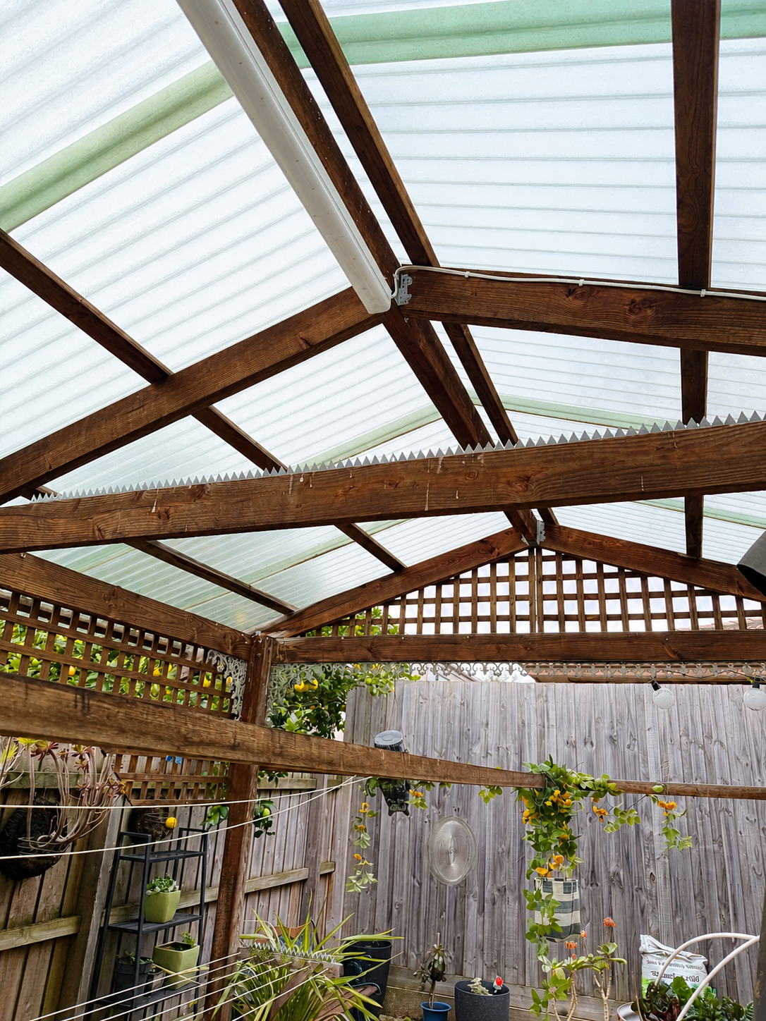 Safehaus PestRidge bird and possum deterrent installation
