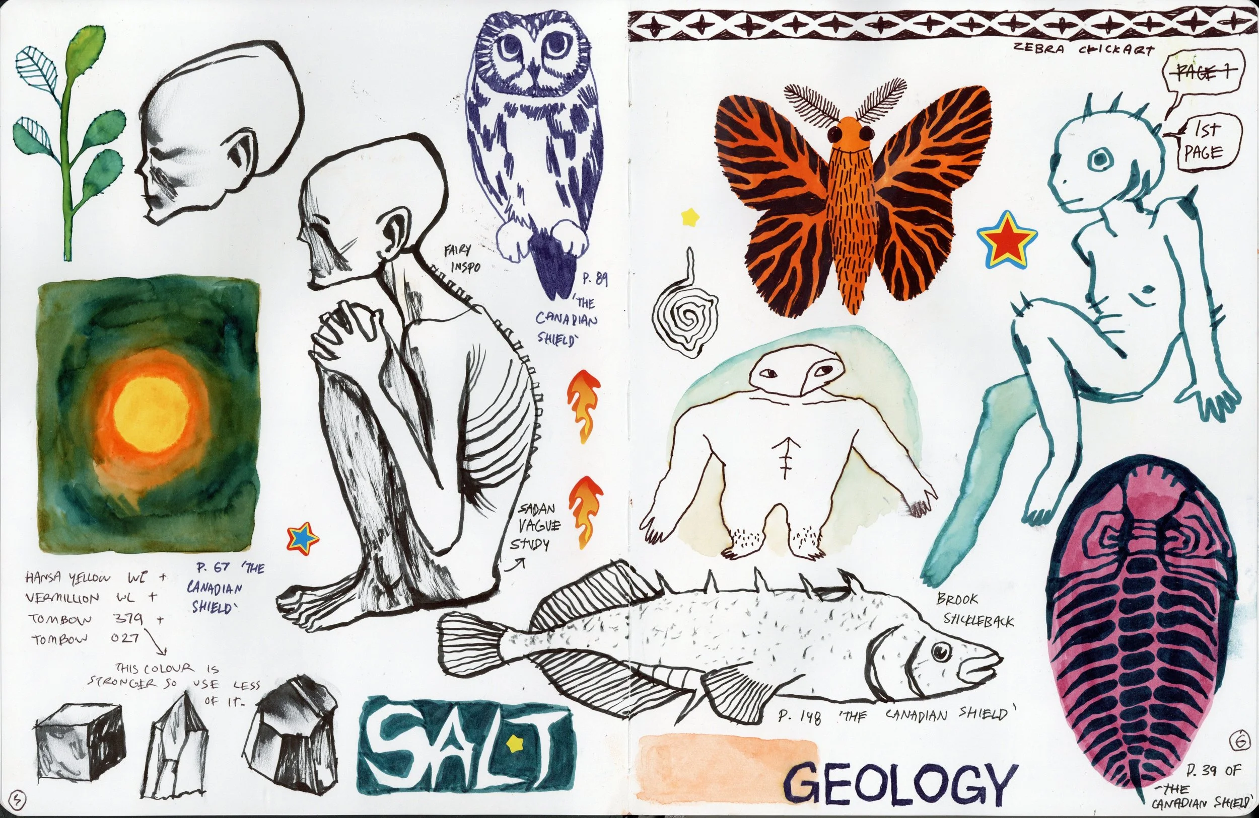 moth, butterfly, bugs, shell, geology, fish, marker, sketch