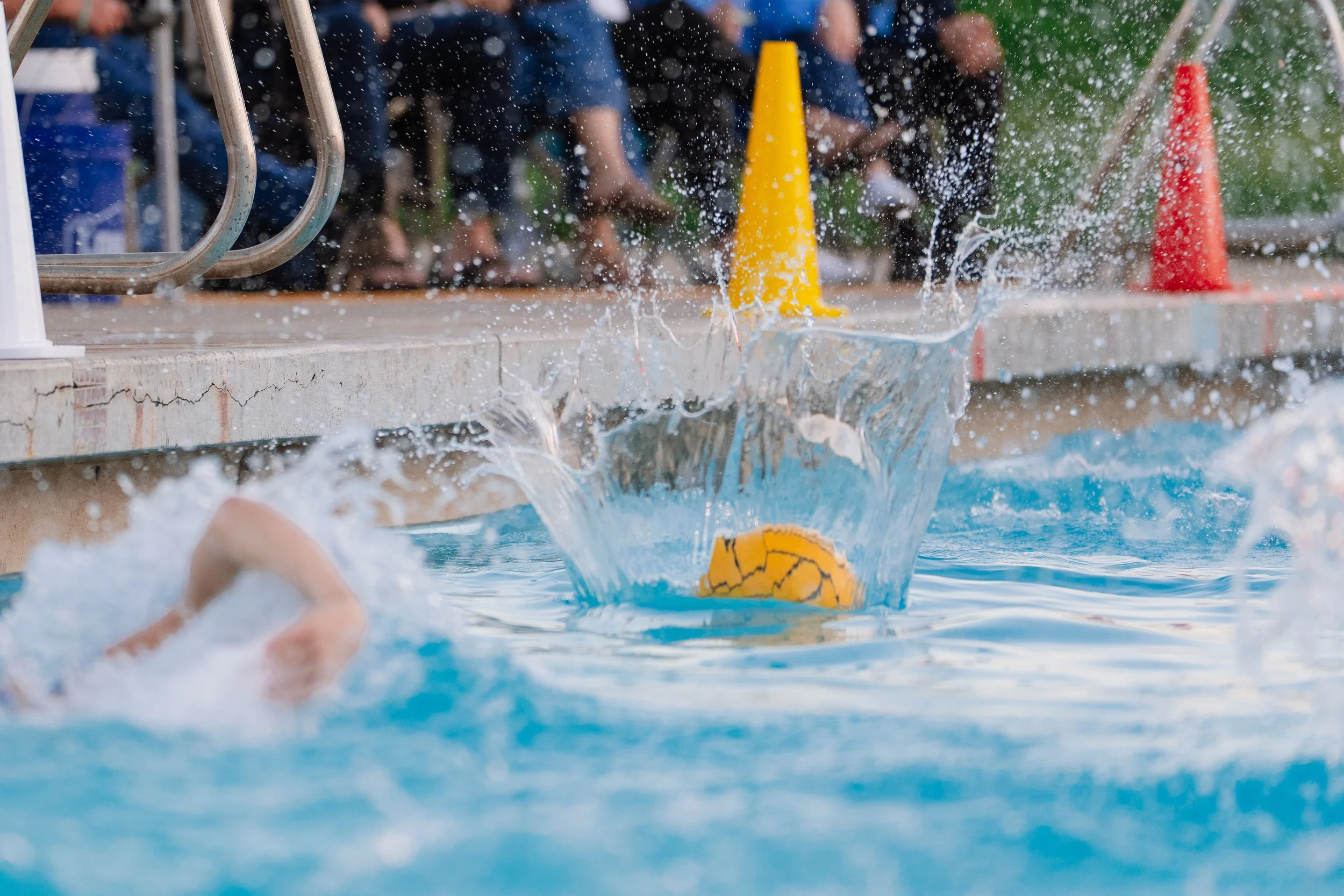 Spring Session First Week Available