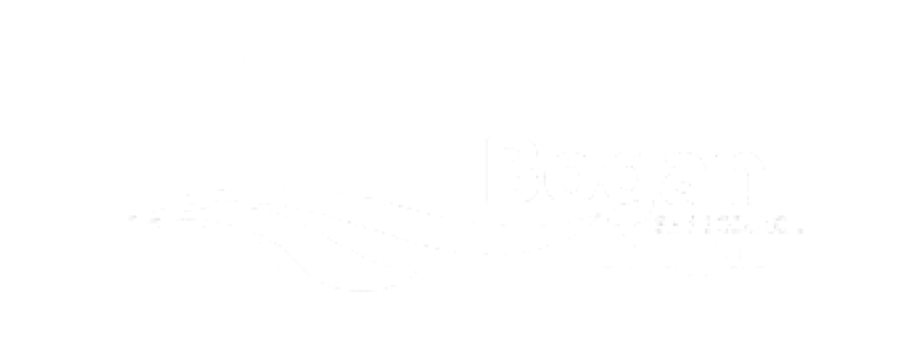 Logo of Bogan Shire Council – partner of Blue Sky Planning & Environment, specialist in rural NSW town‑planning and environmental consulting.