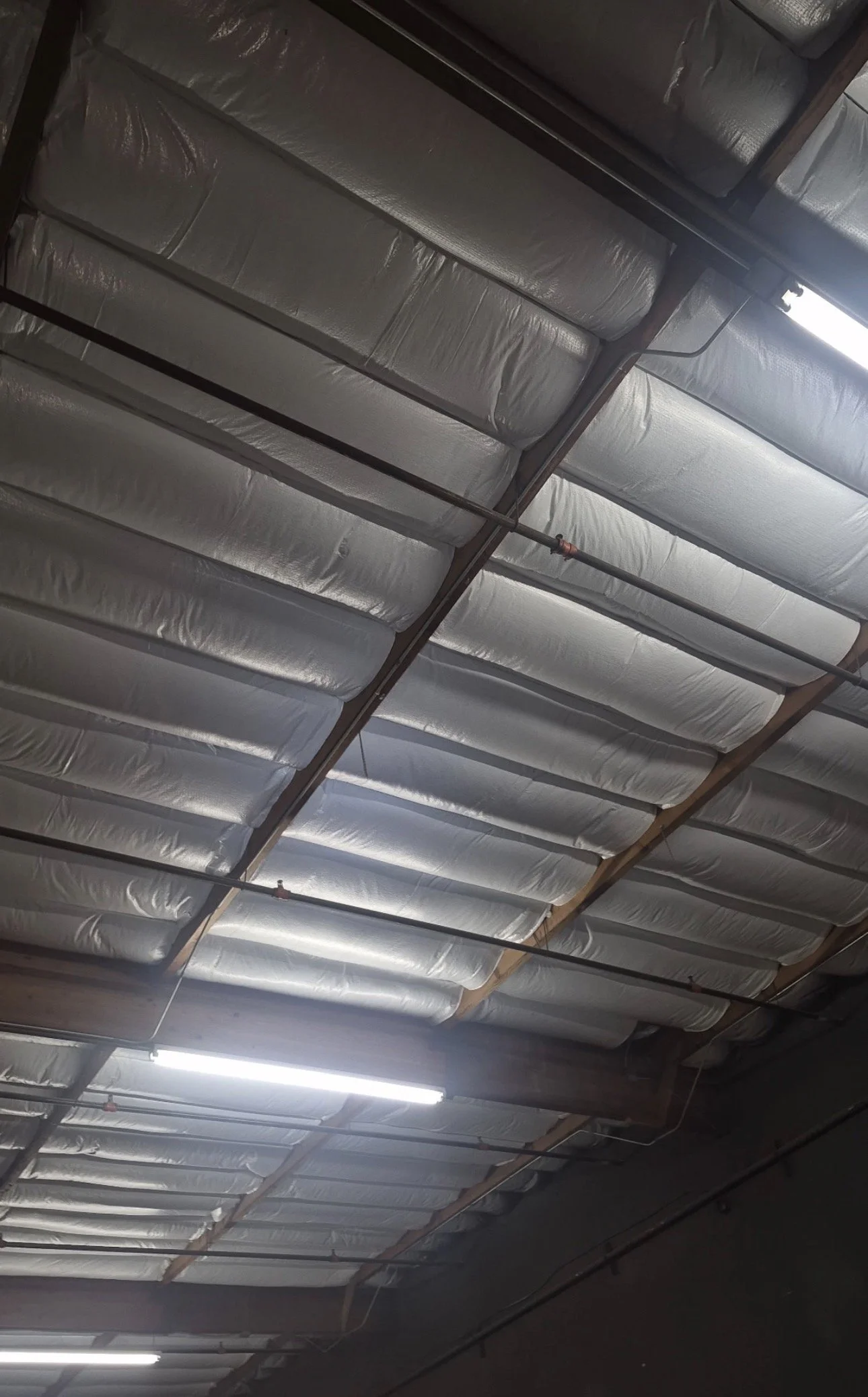 Ceiling of an industrial building showing insulation, pipes, and lights.