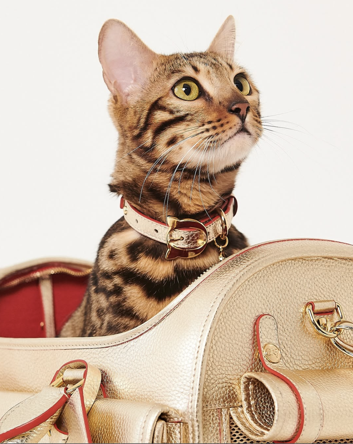 Screenshot 2026-01-11 at 12.22.21 AM.png