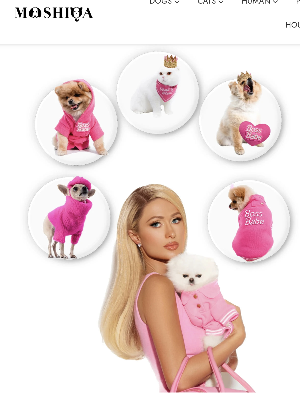 Screenshot 2025-12-28 at 6.11.10 PM.png (Copy)