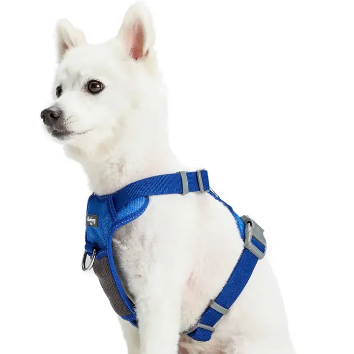 No Pull | 3M Reflective Mesh Padded Dog Harness Vest by Blueberry Pet