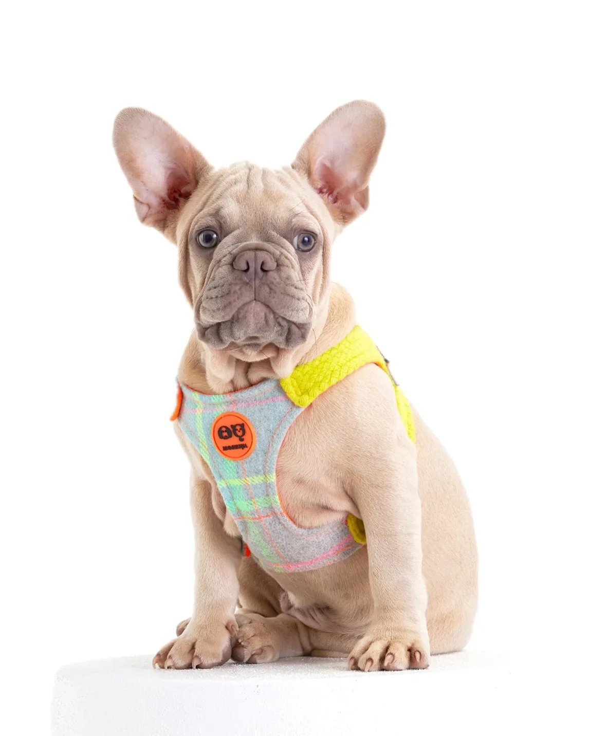 Tartan Dog Harness MOSHIQA