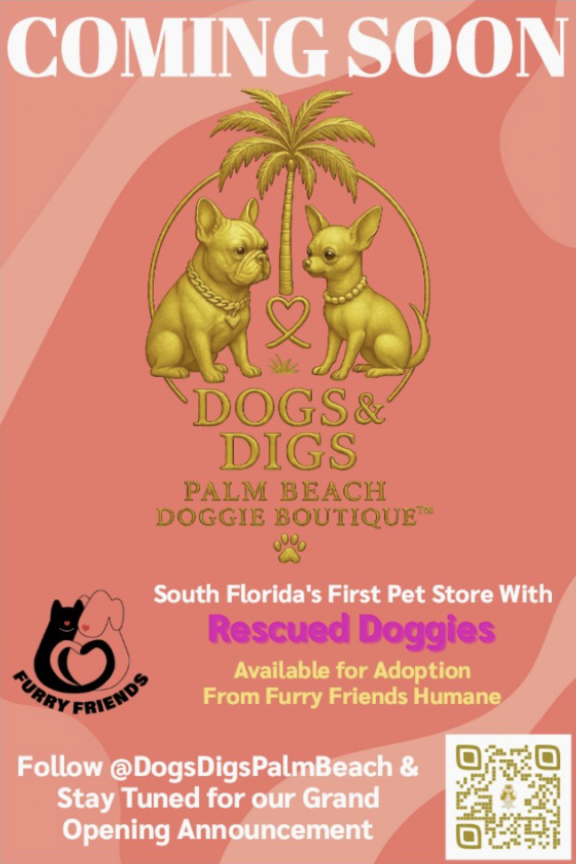 Screenshot 2026-04-01 at 11.15.56 AM.png