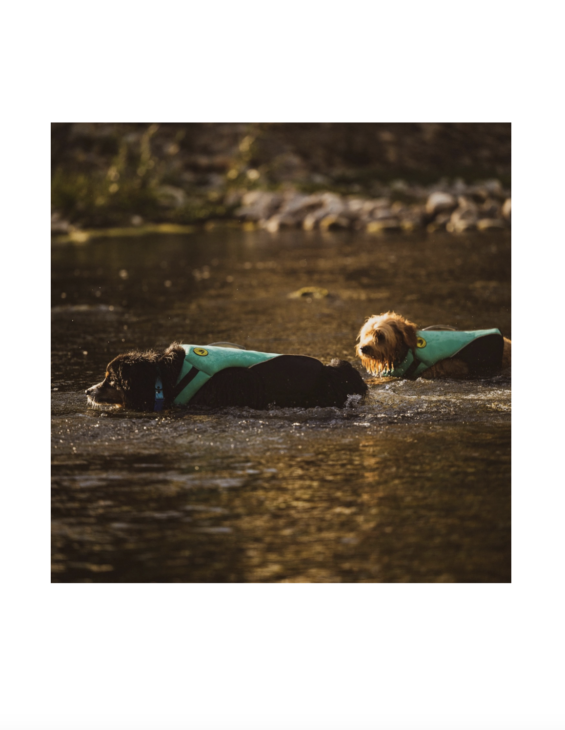 Screenshot 2025-12-29 at 12.29.27 AM.png