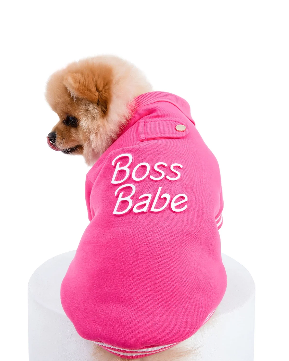 Boss Babe Dog Sweatshirt for toy-small dogs MOSHIQA