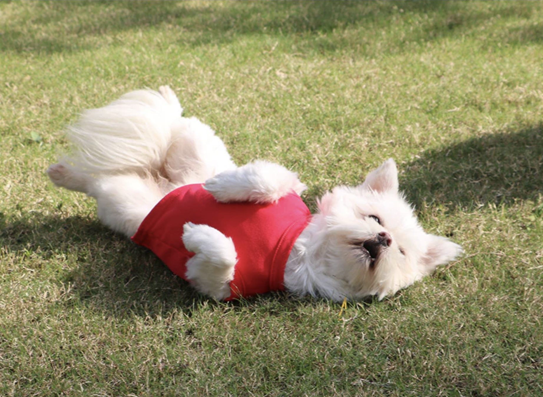 Screenshot 2026-03-11 at 5.35.57 PM.png