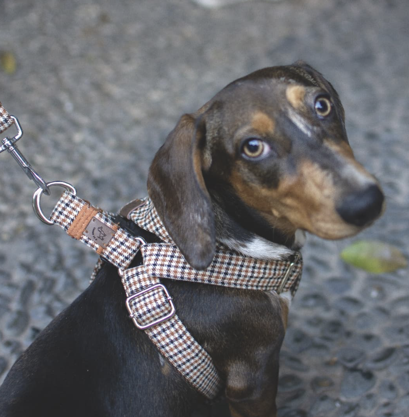 Screenshot 2026-04-22 at 2.35.54 PM.png