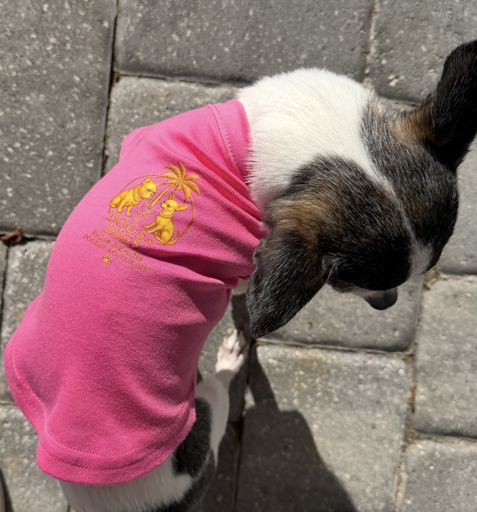 Screenshot 2026-03-11 at 6.07.30 PM.png