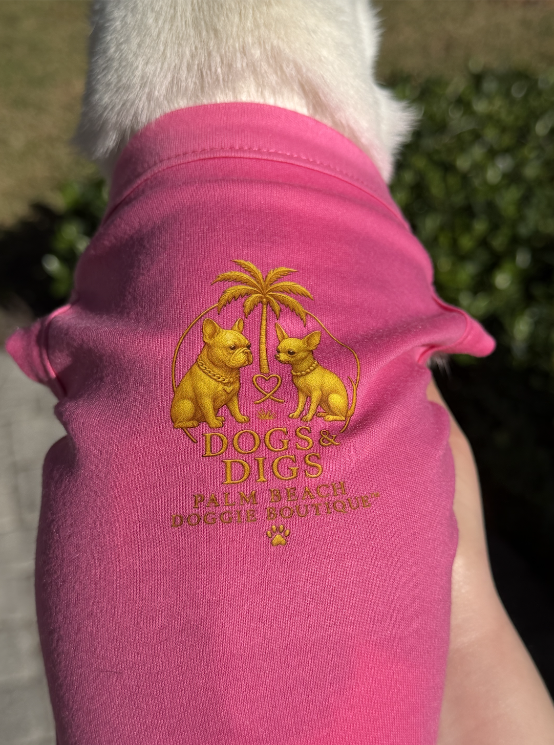 Signature Logo Back Dogs & Digs Pet Tee