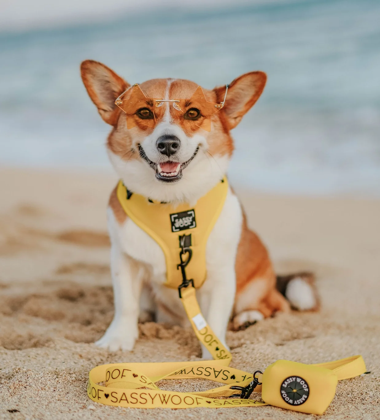 1439f35d560dd33c7a23959cc63254b22abcc950197badbe9ea462a7f562bb9a.jpeg.webp (Copy)