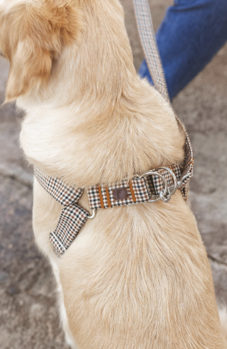 Screenshot 2026-04-22 at 2.17.39 PM.png