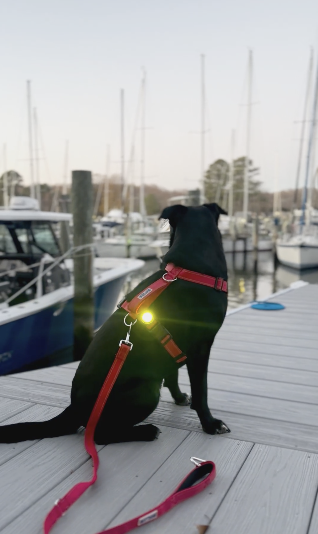 Screenshot 2026-03-10 at 6.24.58 PM.png