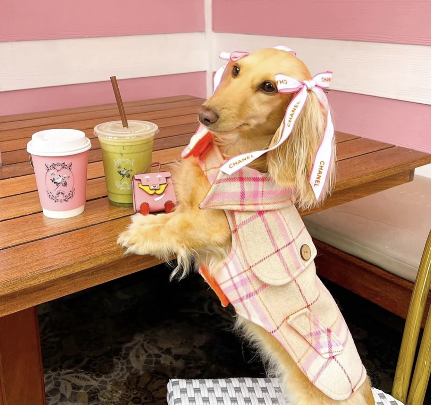 Screenshot 2026-01-11 at 12.21.36 AM.png