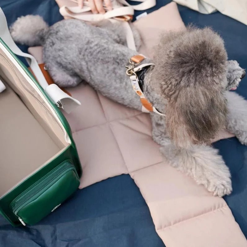 42ce332358d643a7d702e3eed7056168e7390a331778d022c5ff57c69a2b1dbf.jpeg.webp (Copy)