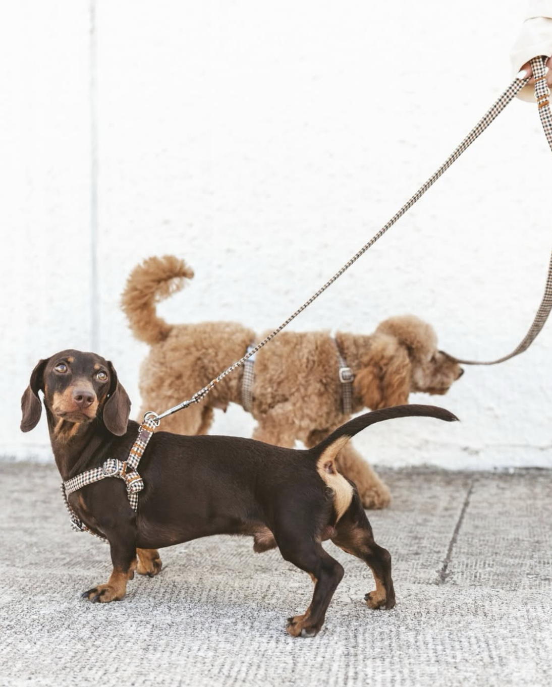 Screenshot 2026-04-22 at 2.17.58 PM.png