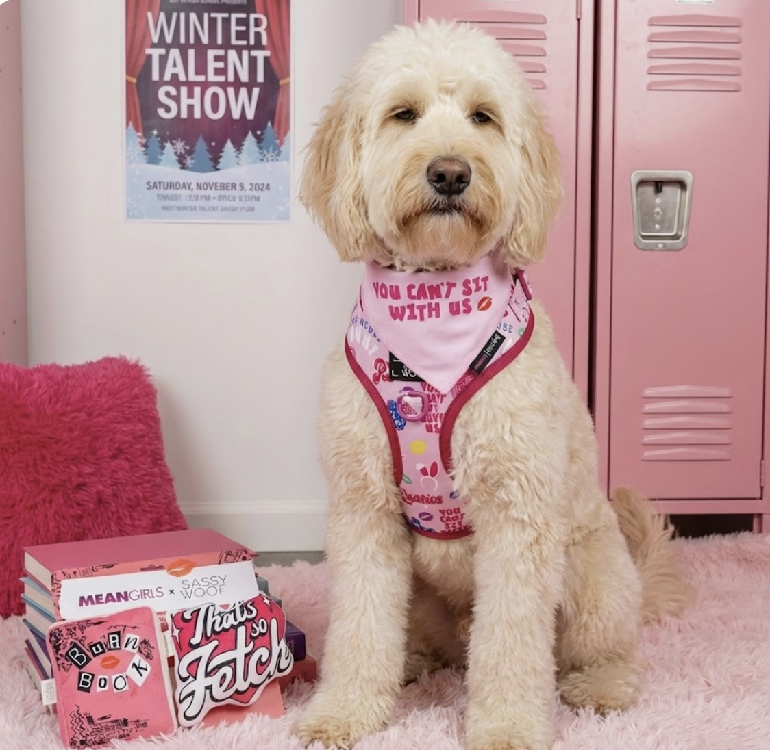 mean girls image.png