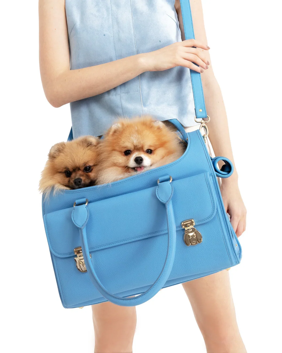 Wondernest Dog Travel Bag in Blue  MOSHIQA