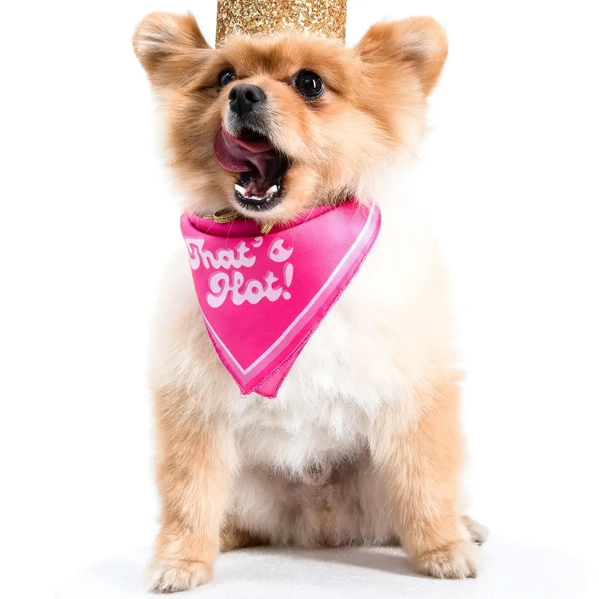 "That's Hot" Bandana MOSHIQA