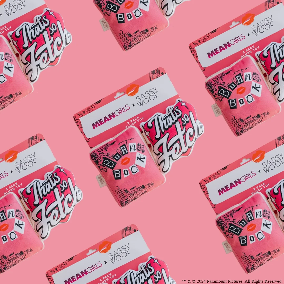 Dog Toy Set - Mean Girls™