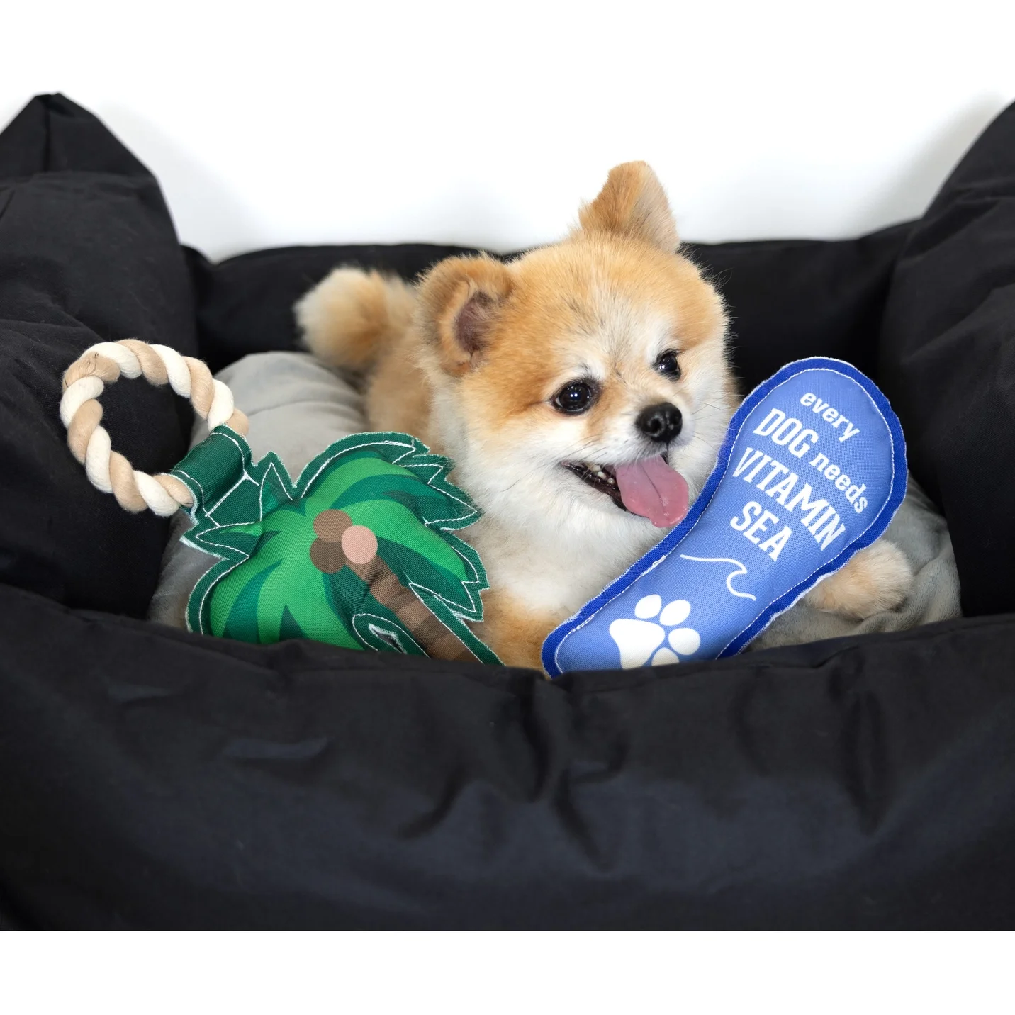 1775492b1f8faa437540cb10bd05796c5b41f65d06e30cefd9cc37e6fbf68043.jpeg.webp (Copy)