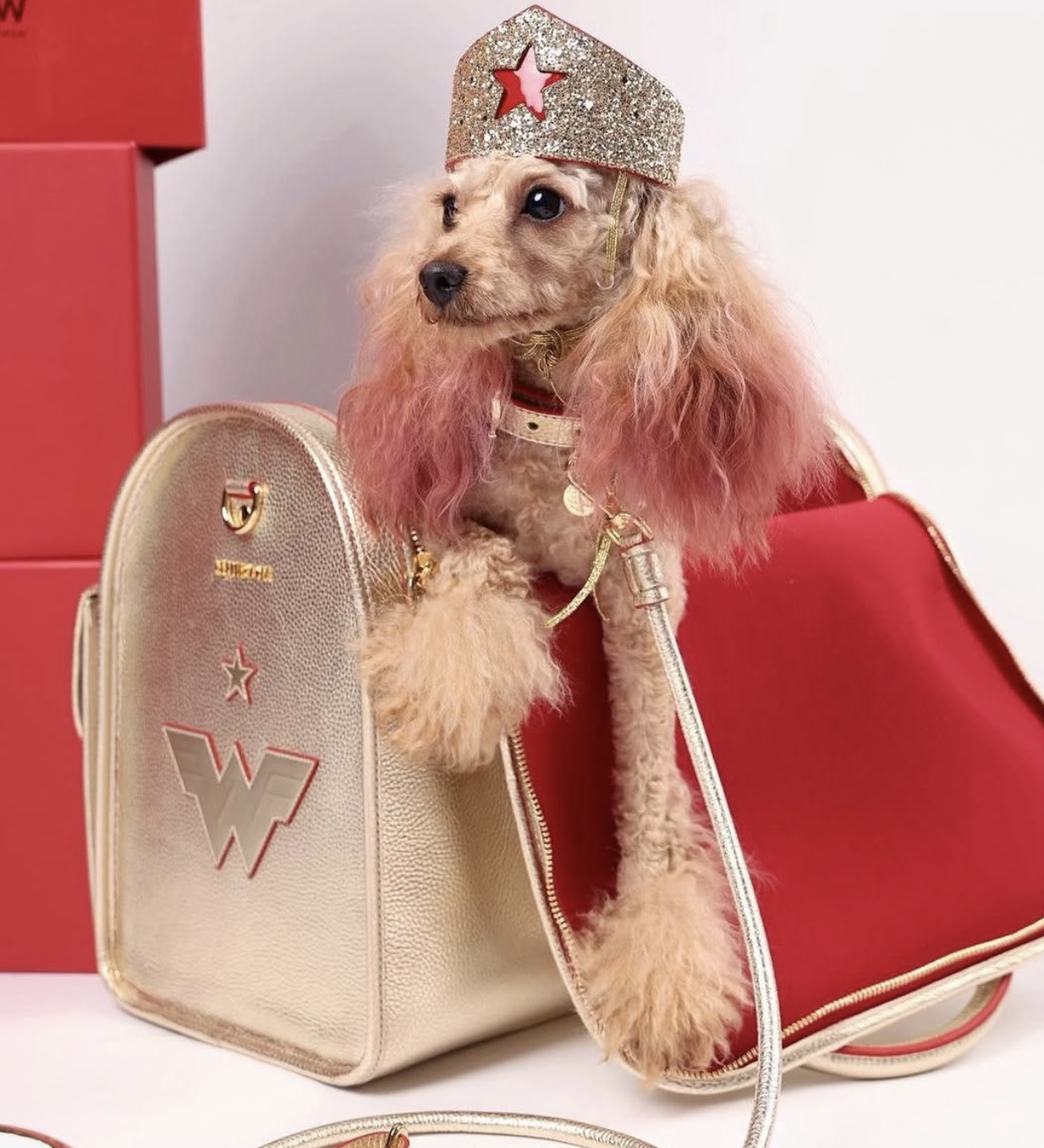 Screenshot 2026-01-11 at 12.48.17 AM.png