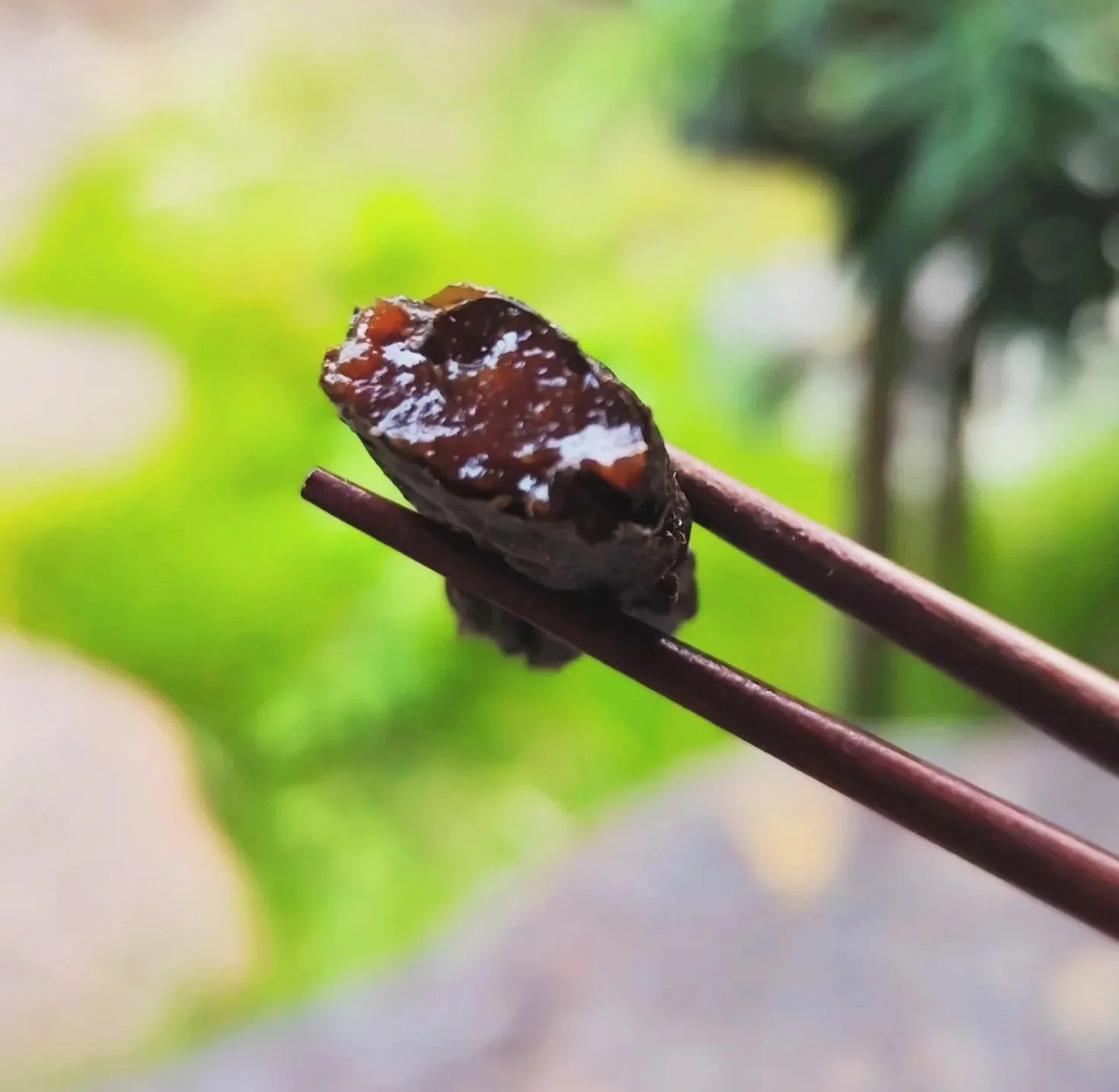 箸でつままれた志そ巻（しそ巻）