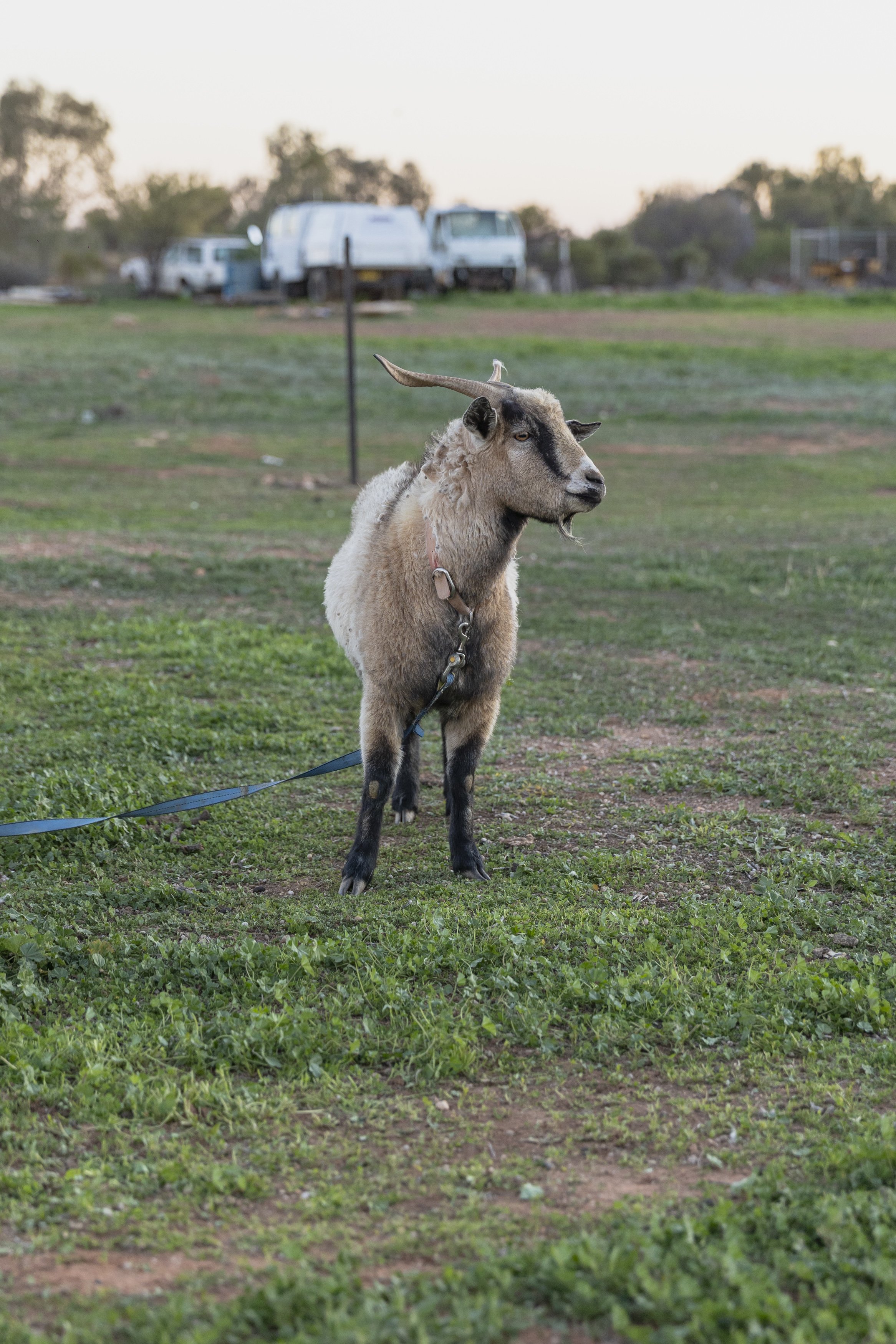 AURC 2025 Pic-259.JPG