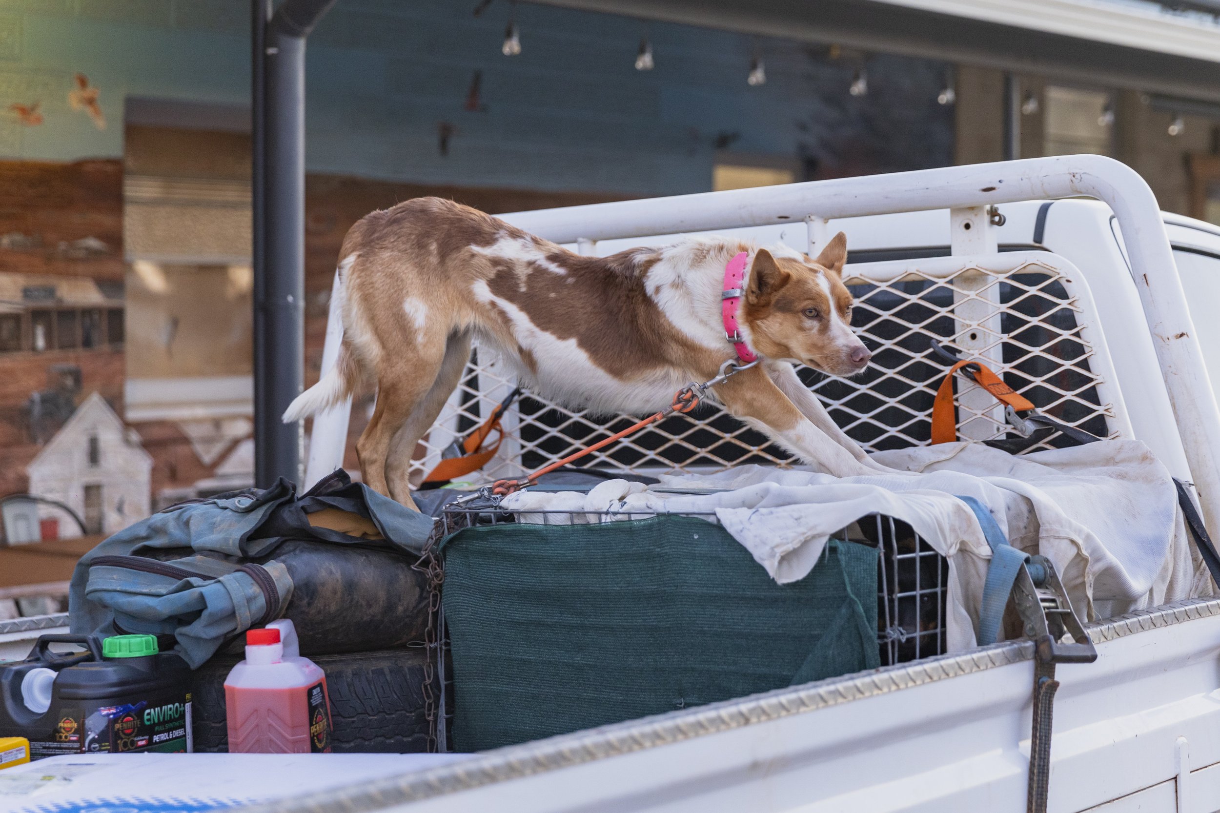 AURC 2025 Pic-260.JPG