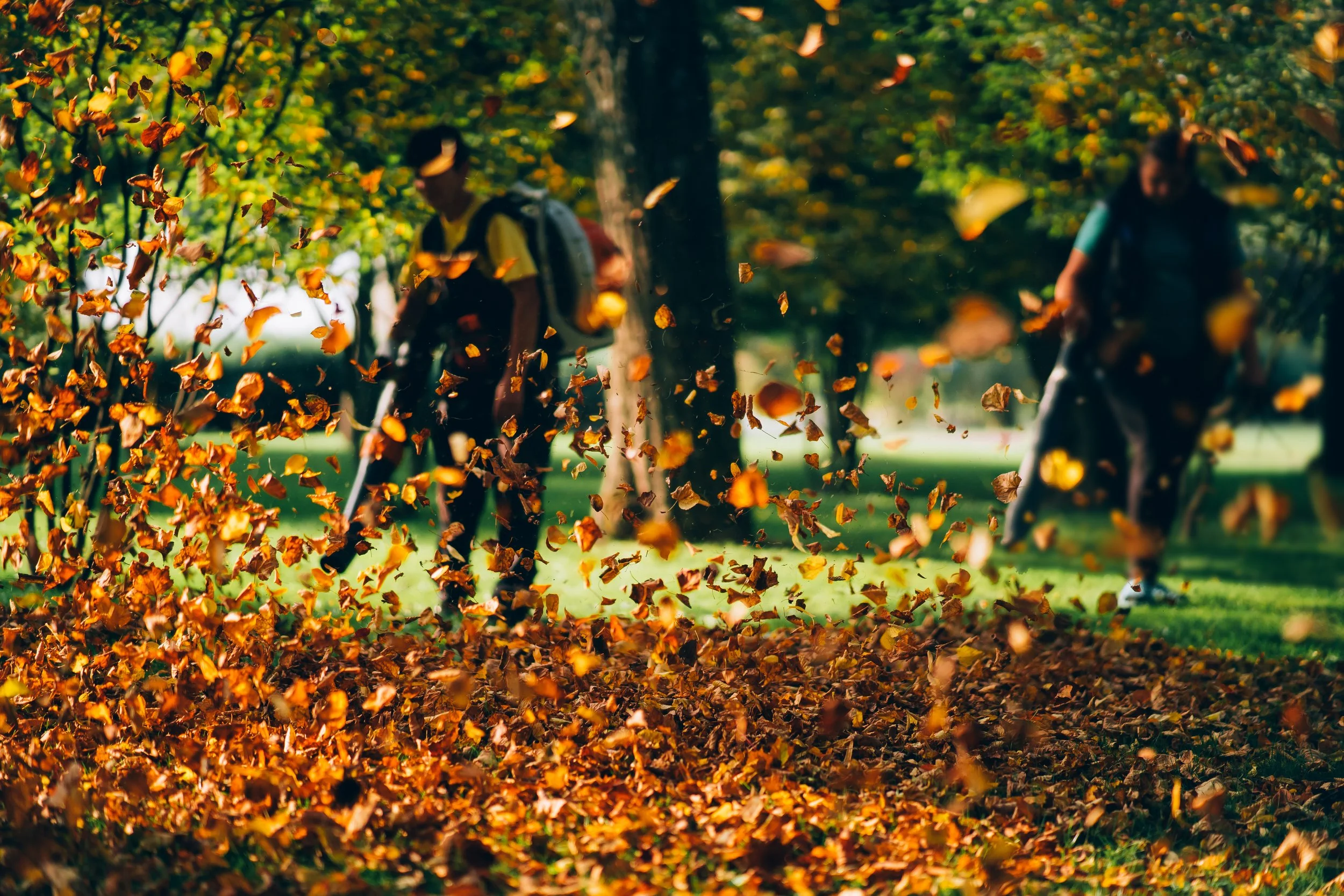Two children raking and gathering fallen autumn leaves in a park with trees and green grass.