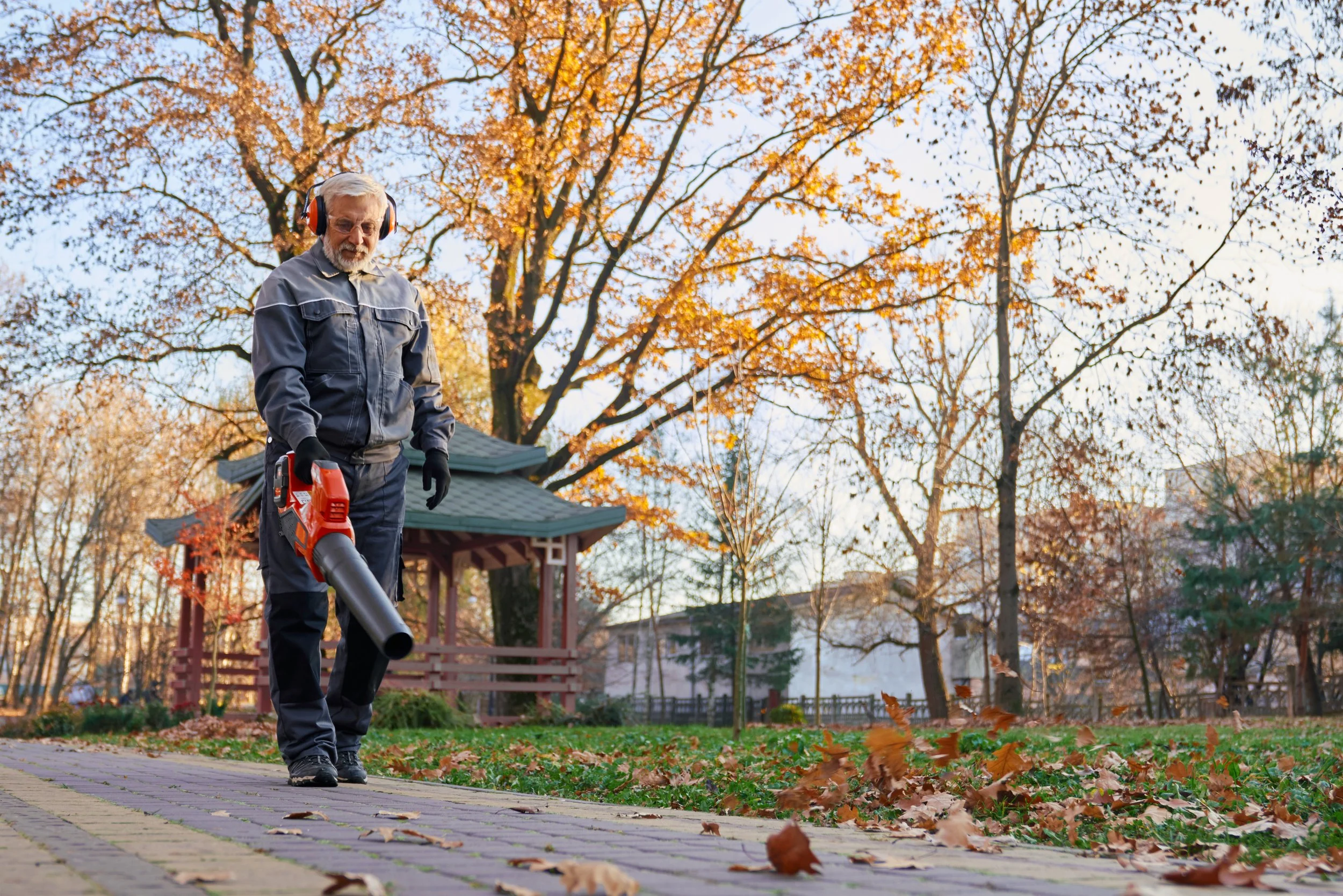 An elderly man wearing headphones, a gray jacket, and black gloves is blowing leaves using a leaf blower on a fall day in a park with trees having autumn foliage.