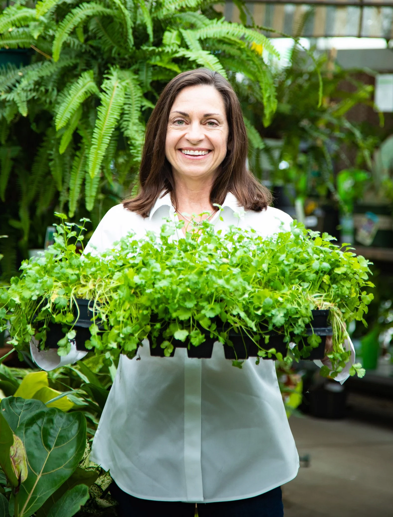 A woman holding a tray of green seedlings in a greenhouse surrounded by various plants.