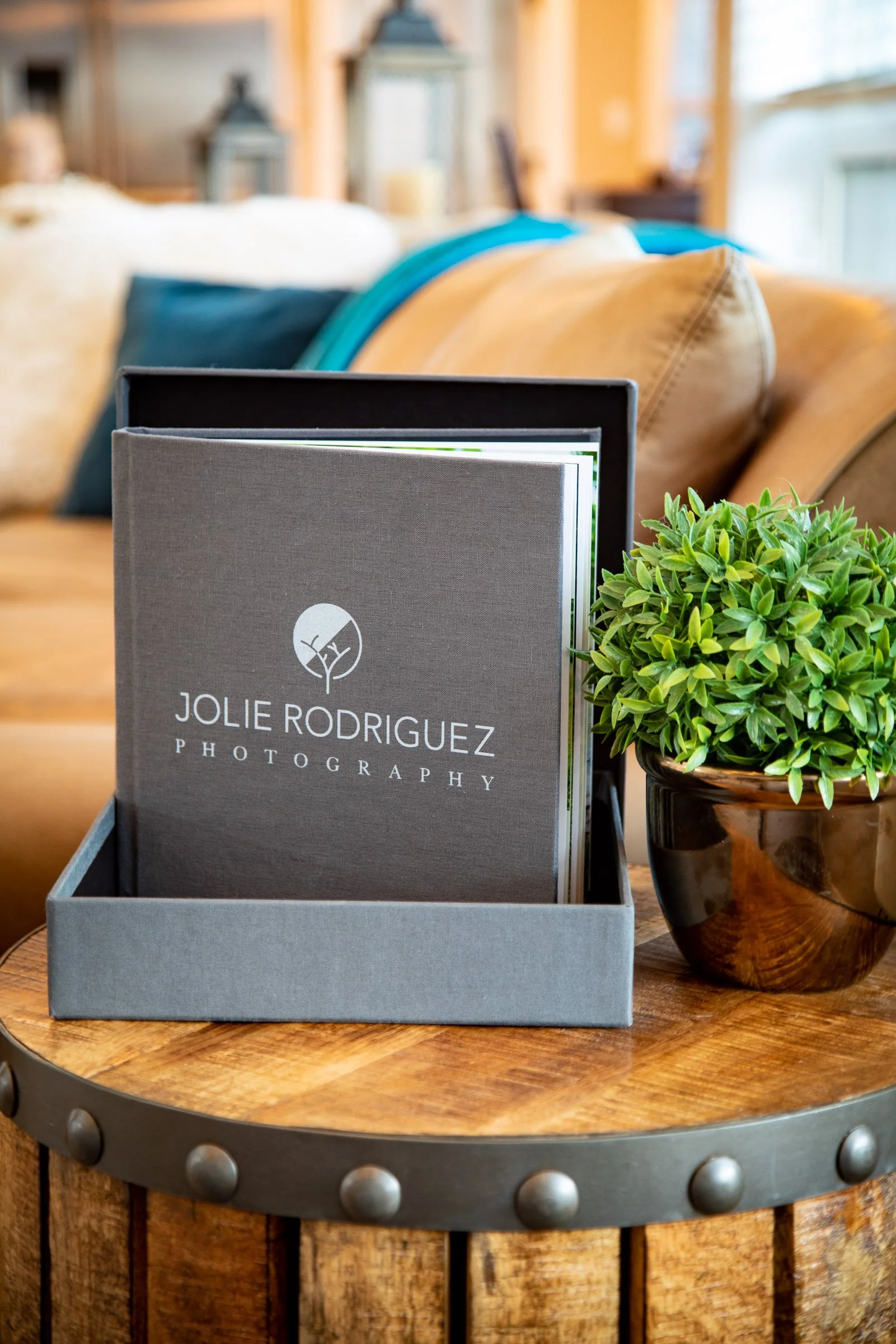 A photo of a wooden table with a gray box holding a photography brochure labeled 'Jolie Rodriguez Photography,' and a green potted plant in a brown pot, in a cozy room with a sofa and decorative items in the background.