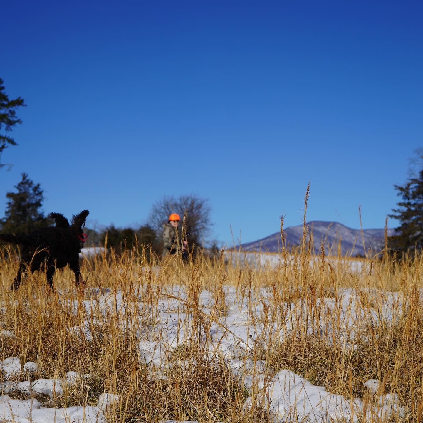 Nothing beats a cold crisp morning when the birds are flying!