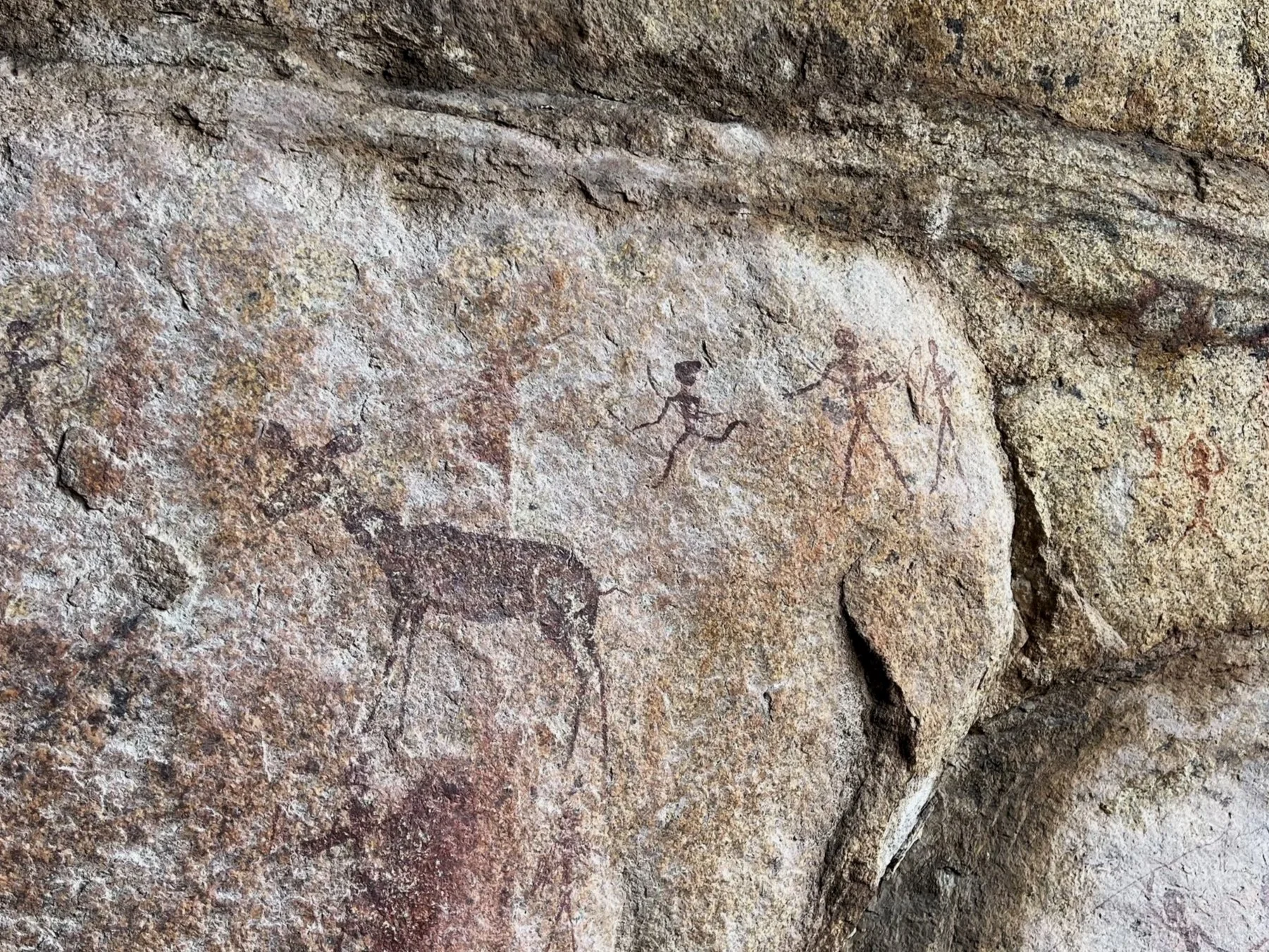 Conservation Hunting