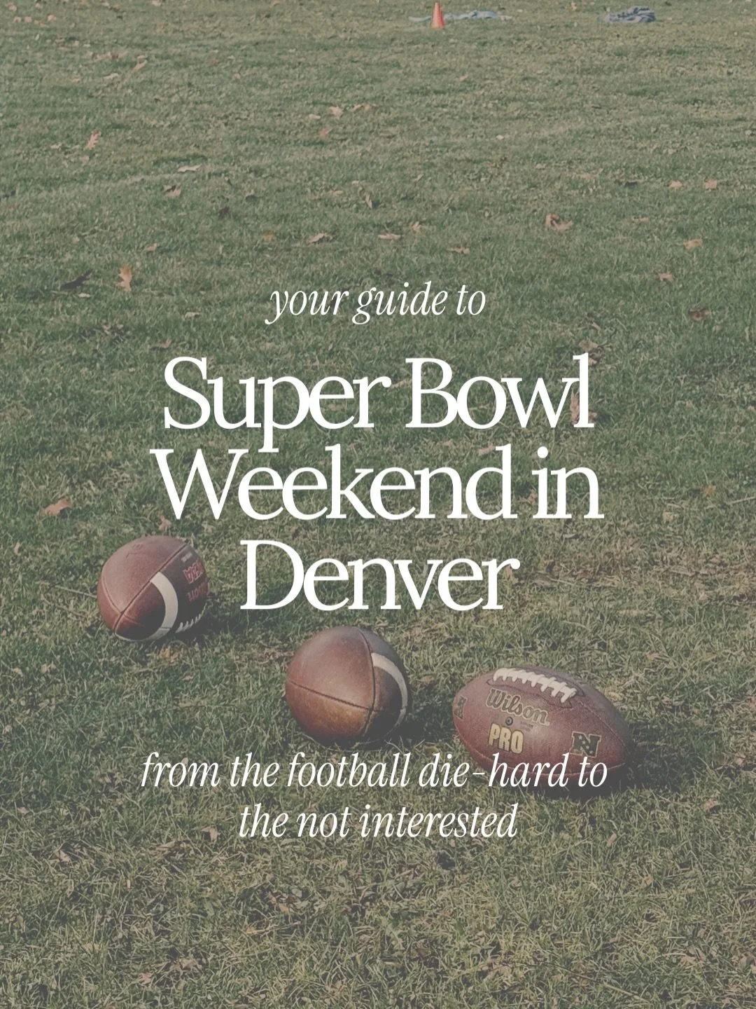 Whether you&rsquo;re hosting, watching every play, snacking for the commercials, or avoiding football entirely &mdash; here&rsquo;s your local central Denver guide to making the most of the weekend.

🏡 For the Hosts
Hosting this year? These favorite