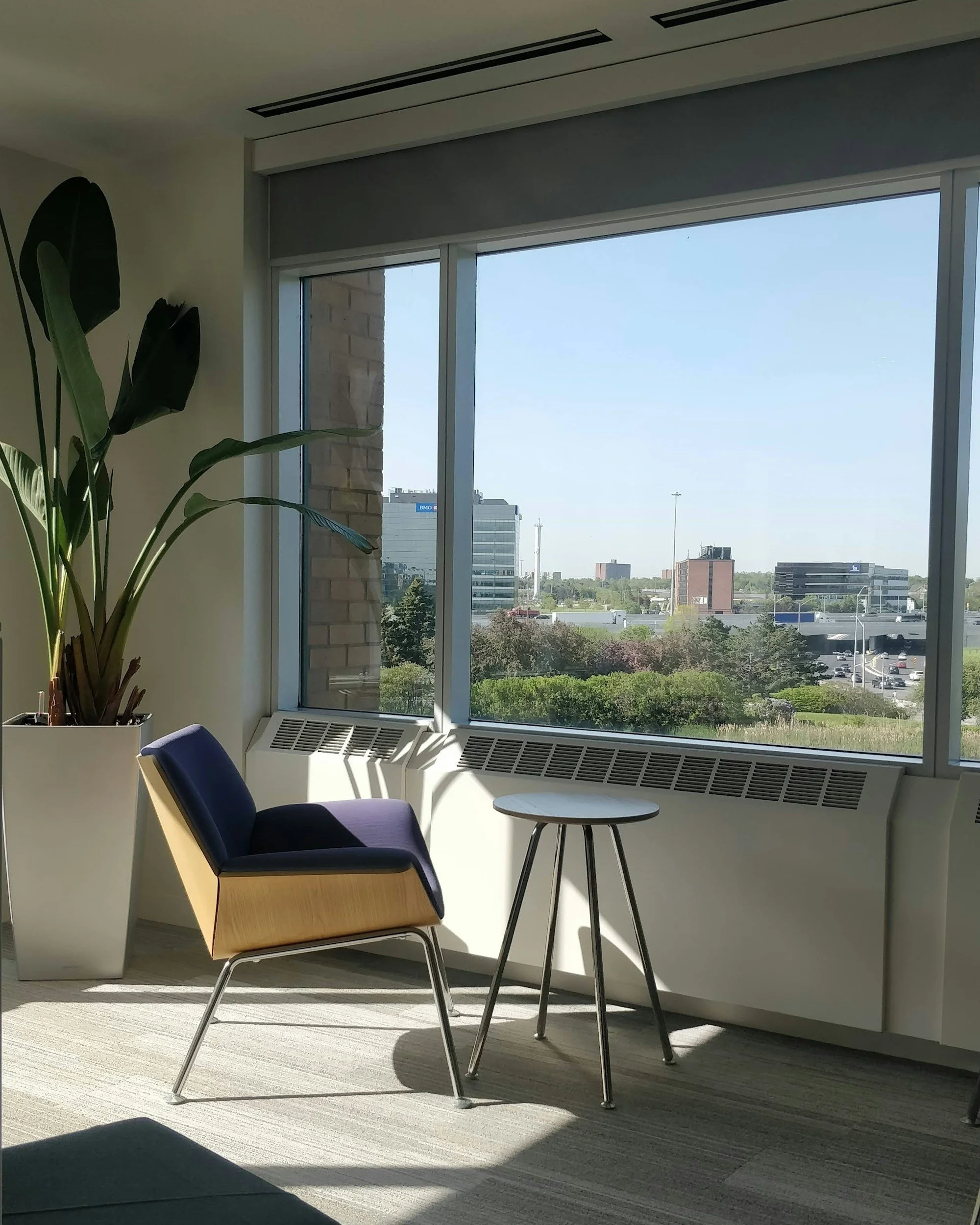 Modern office lounge area with a large potted plant, a mustard-yellow and navy armchair, a small round side table, and large windows showing a cityscape with buildings and blue sky.
