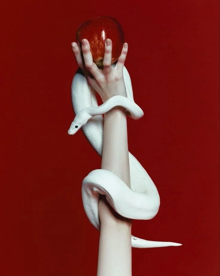 A person's arm and hand holding a red apple in front of their face, with a white snake wrapped around the arm, against a solid red background.