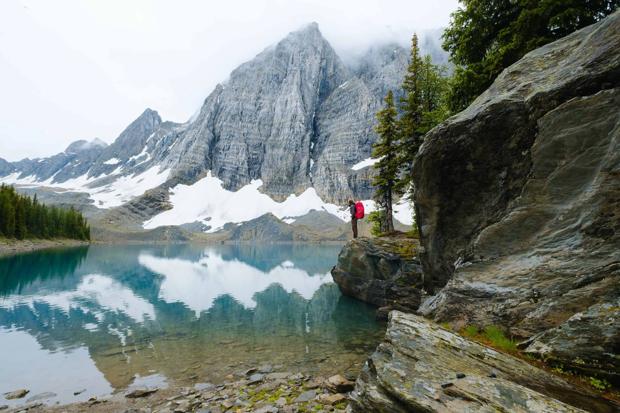 Floe Lake Shoreline