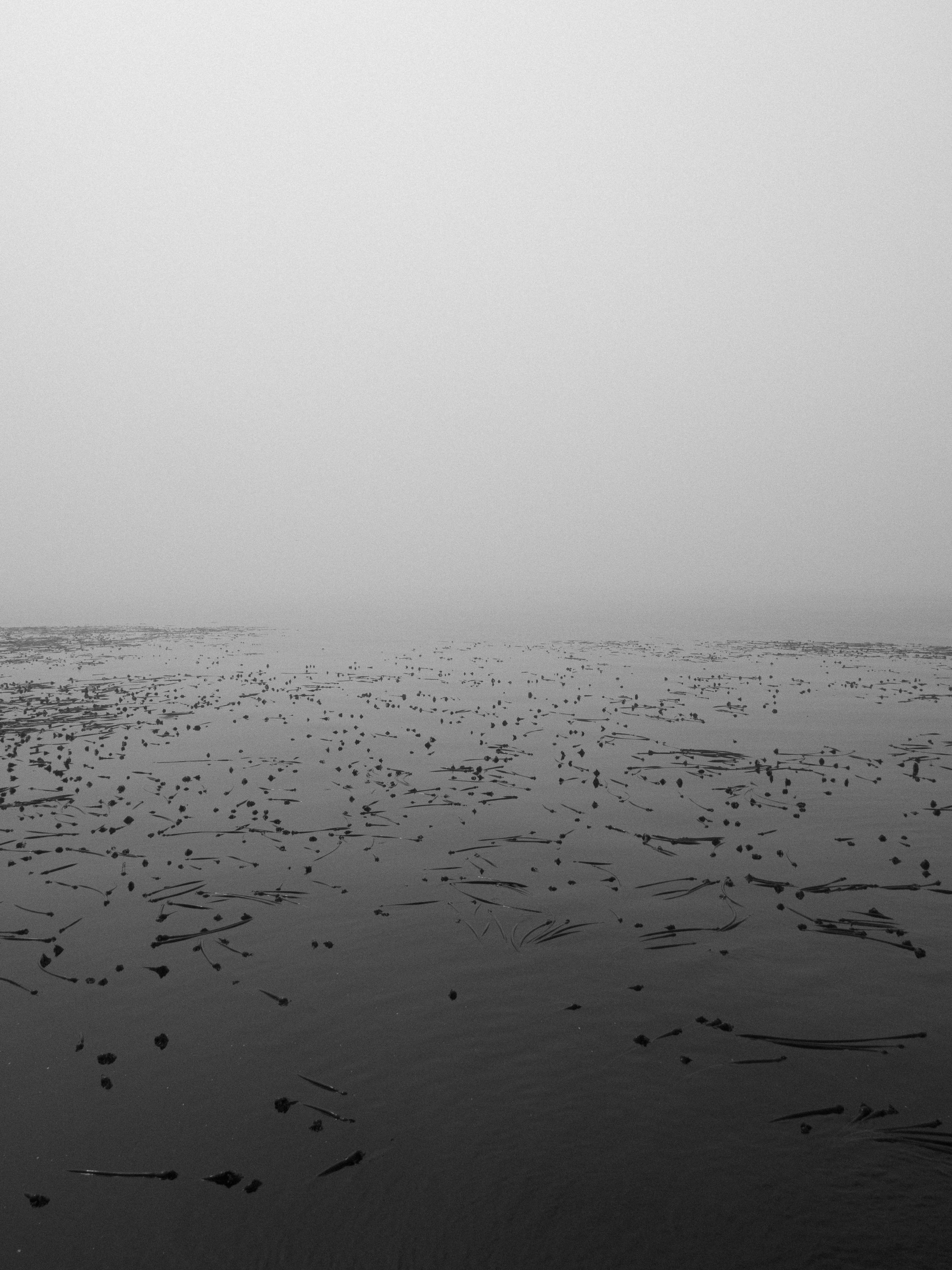 DSC02813.jpg