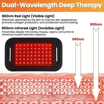 red-light-therapy-pad-for-dogs-horses-humans-2636813.jpeg