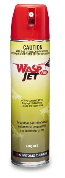 Wasp Jet .jpeg