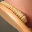 Wooden_dry_brush_with_bristles.jpg