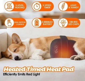 red-light-therapy-pad-for-dogs-horses-humans-8965510.jpeg